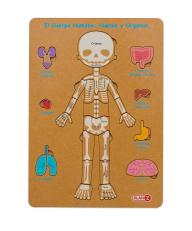 Encastre Cuerpo Humano