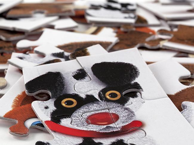 Mascotas