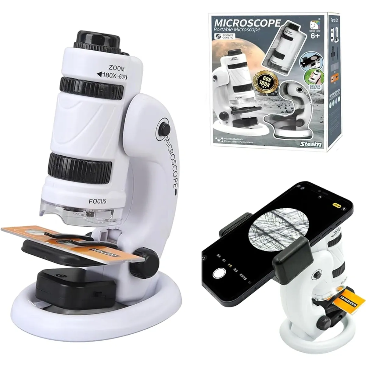 Microscopio portatil-BL352AA