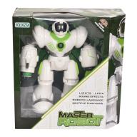 Master Robot RC-2037