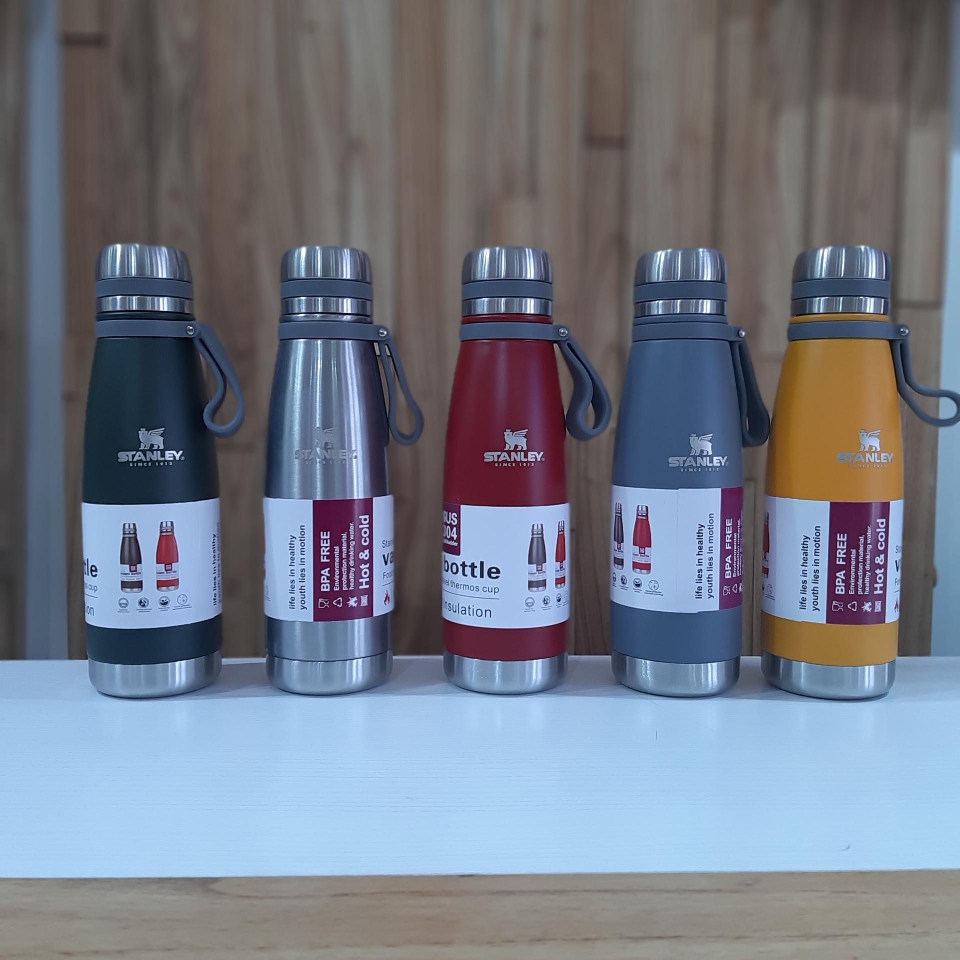 Botella termica Vacumm 650ml 5mod