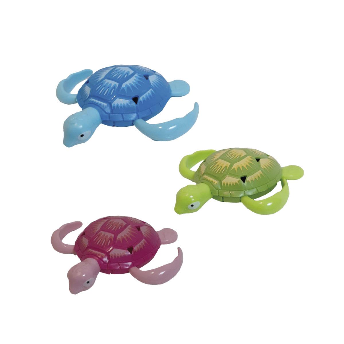 Aqua Time Turtle-2971