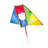 Barrilete Manta-55375